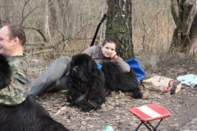 Фотография № 93854