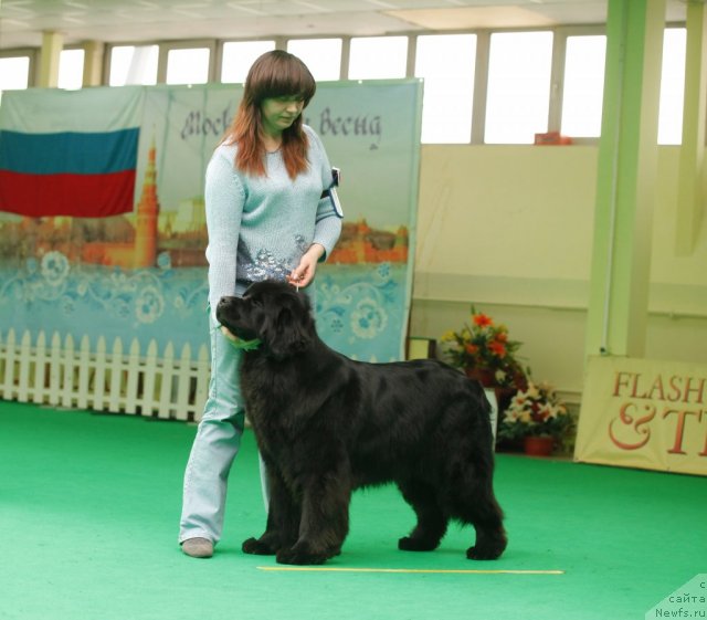 Фотография № 93855