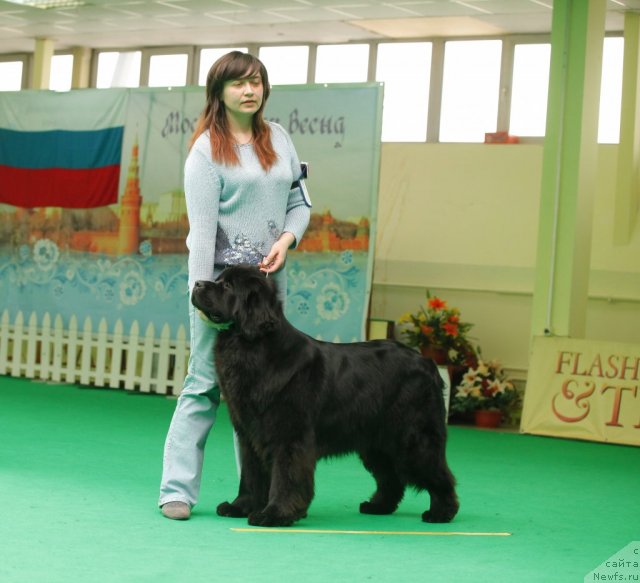 Фотография № 93856