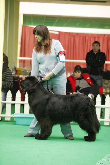 Фотография № 93857