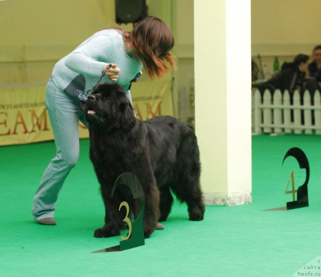 Фотография № 93858