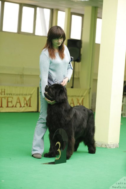 Фотография № 93860