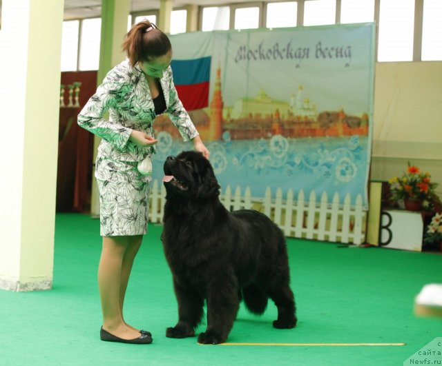 Фотография № 93864