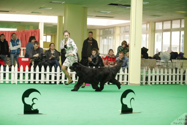 Фотография № 93865