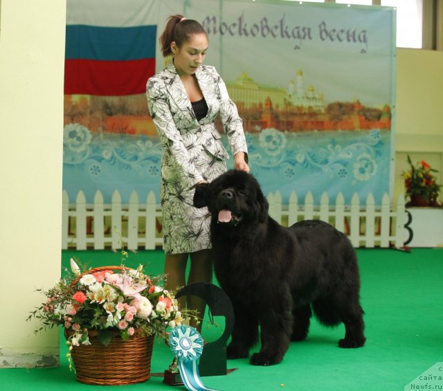 Фотография № 93867