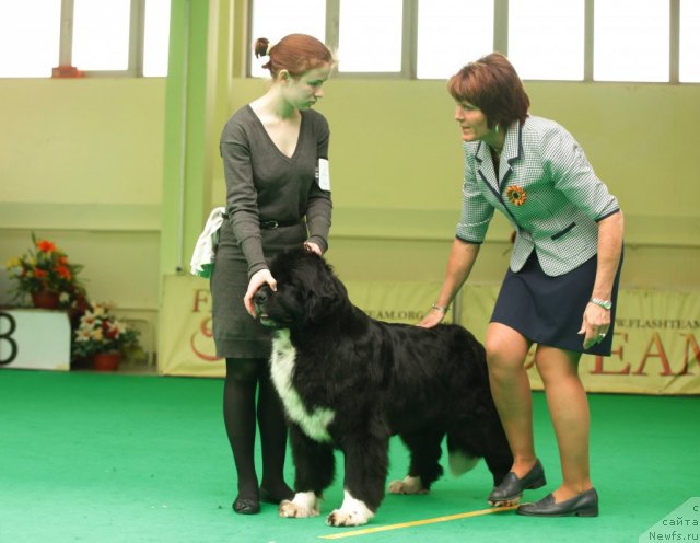 Фотография № 93871