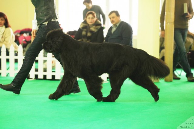 Фотография № 93876