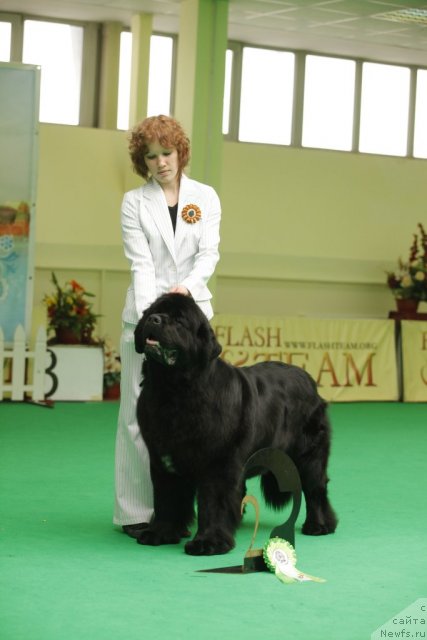 Фотография № 93878