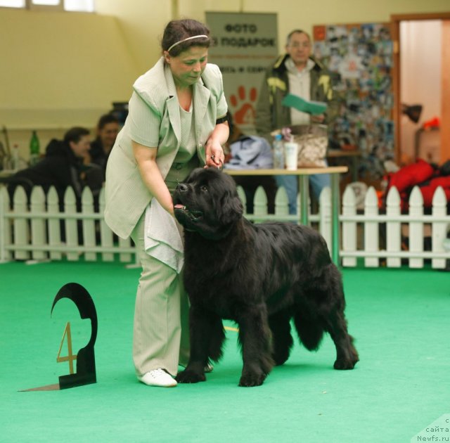 Фотография № 93881