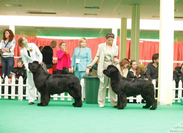 Фотография № 93888