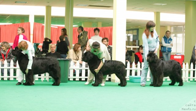 Фотография № 93891