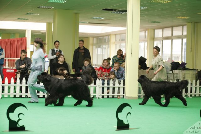 Фотография № 93893