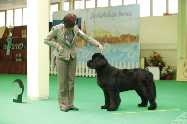 Фотография № 93898