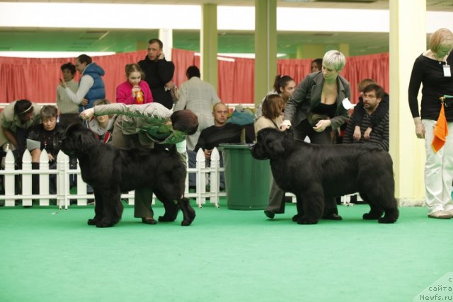 Фотография № 93901