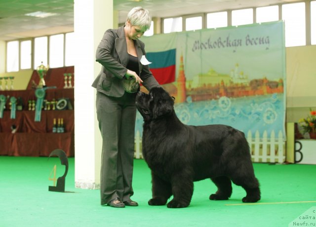 Фотография № 93902