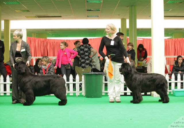 Фотография № 93903