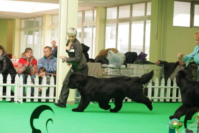 Фотография № 93904