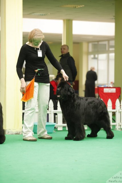 Фотография № 93905