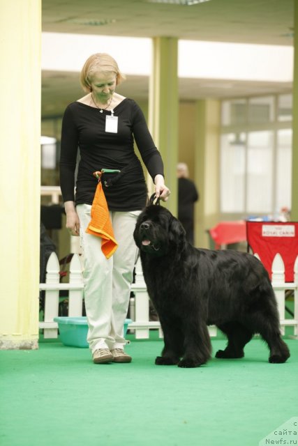 Фотография № 93906