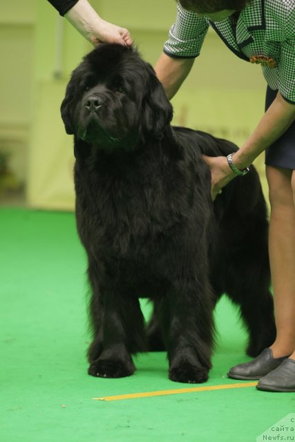 Фотография № 93908