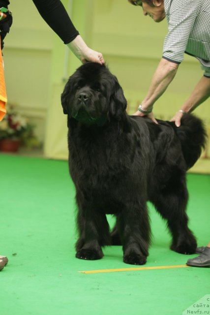 Фотография № 93909