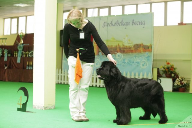 Фотография № 93910