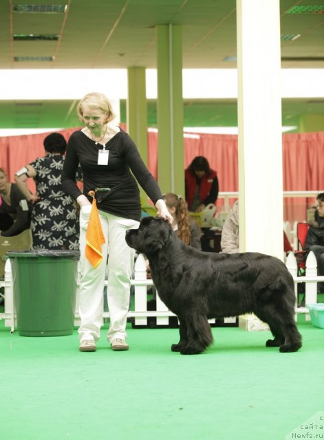 Фотография № 93912