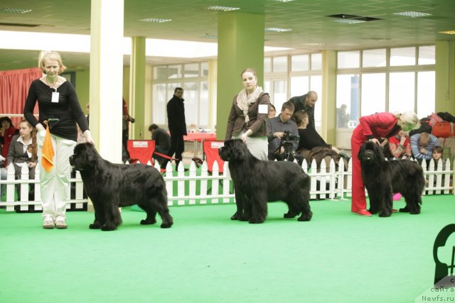 Фотография № 93913