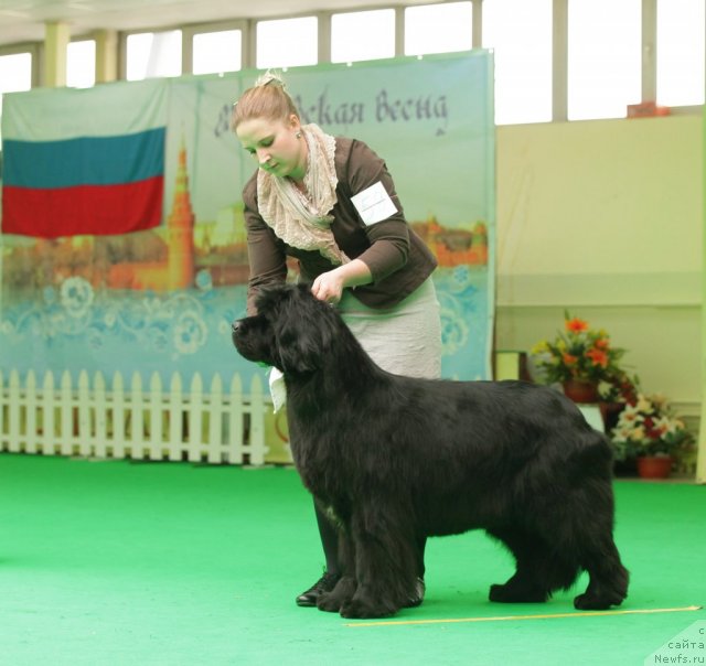 Фотография № 93914