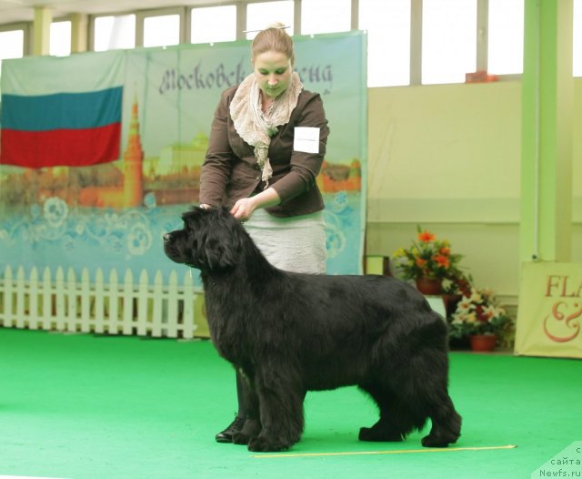 Фотография № 93915