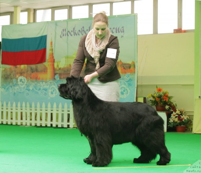 Фотография № 93916