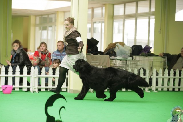 Фотография № 93917