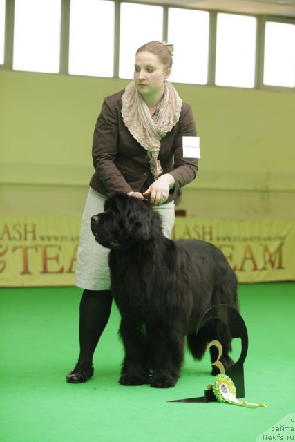 Фотография № 93918