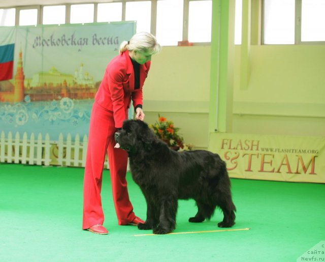 Фотография № 93920