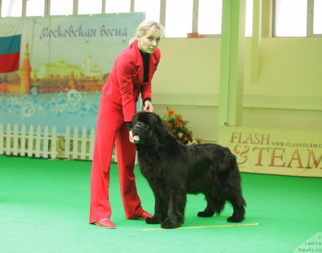 Фотография № 93921