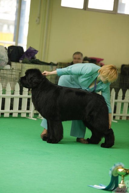 Фотография № 93922