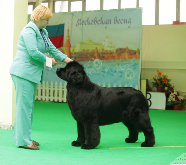 Фотография № 93923