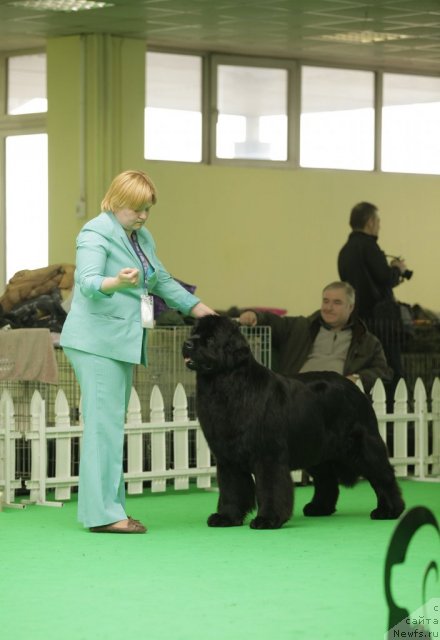 Фотография № 93925