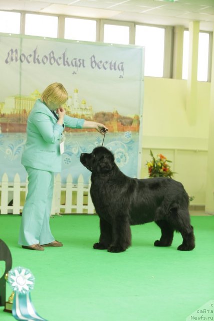 Фотография № 93926