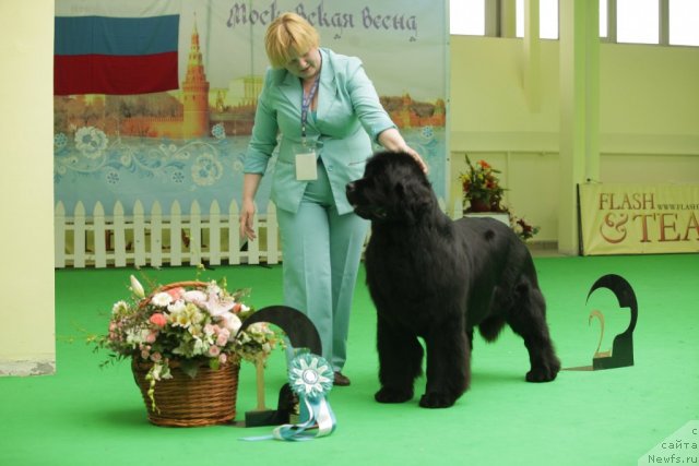 Фотография № 93927