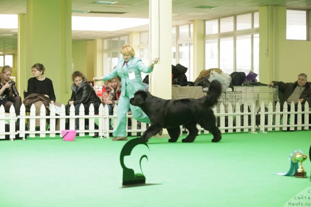 Фотография № 93929