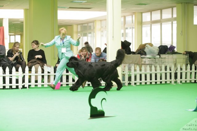 Фотография № 93930