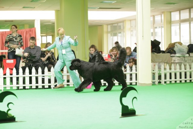 Фотография № 93931