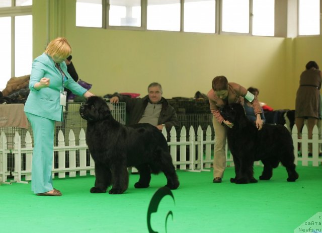 Фотография № 93932