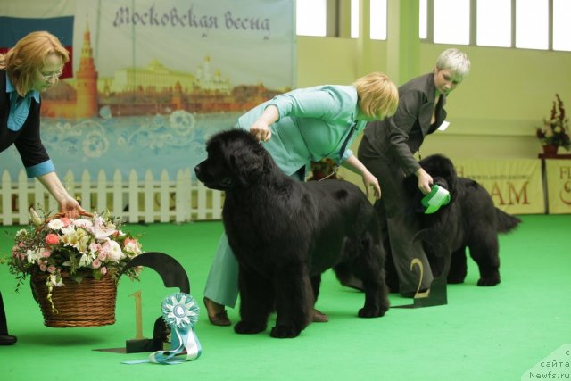 Фотография № 93933