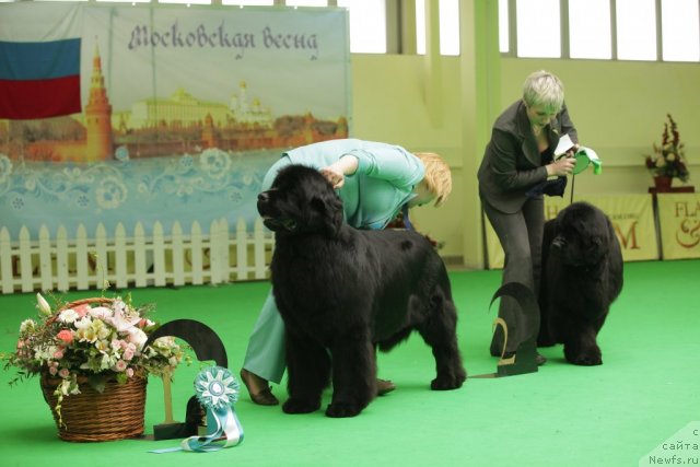 Фотография № 93934