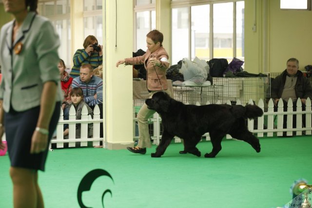 Фотография № 93935