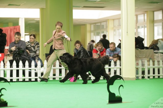 Фотография № 93936