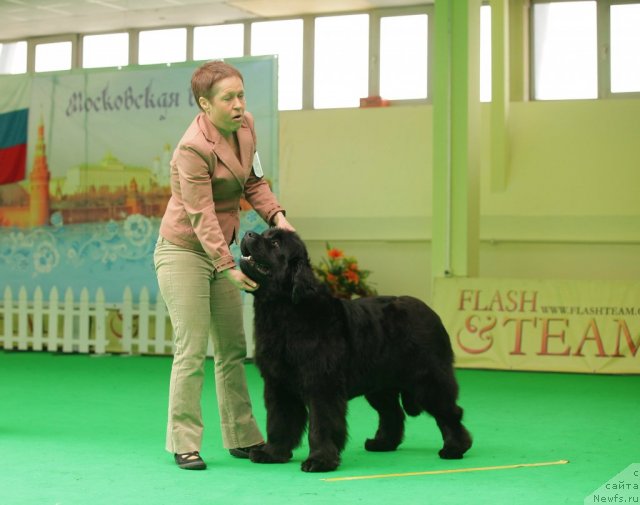 Фотография № 93937