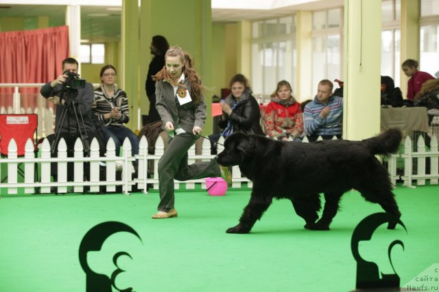 Фотография № 93939